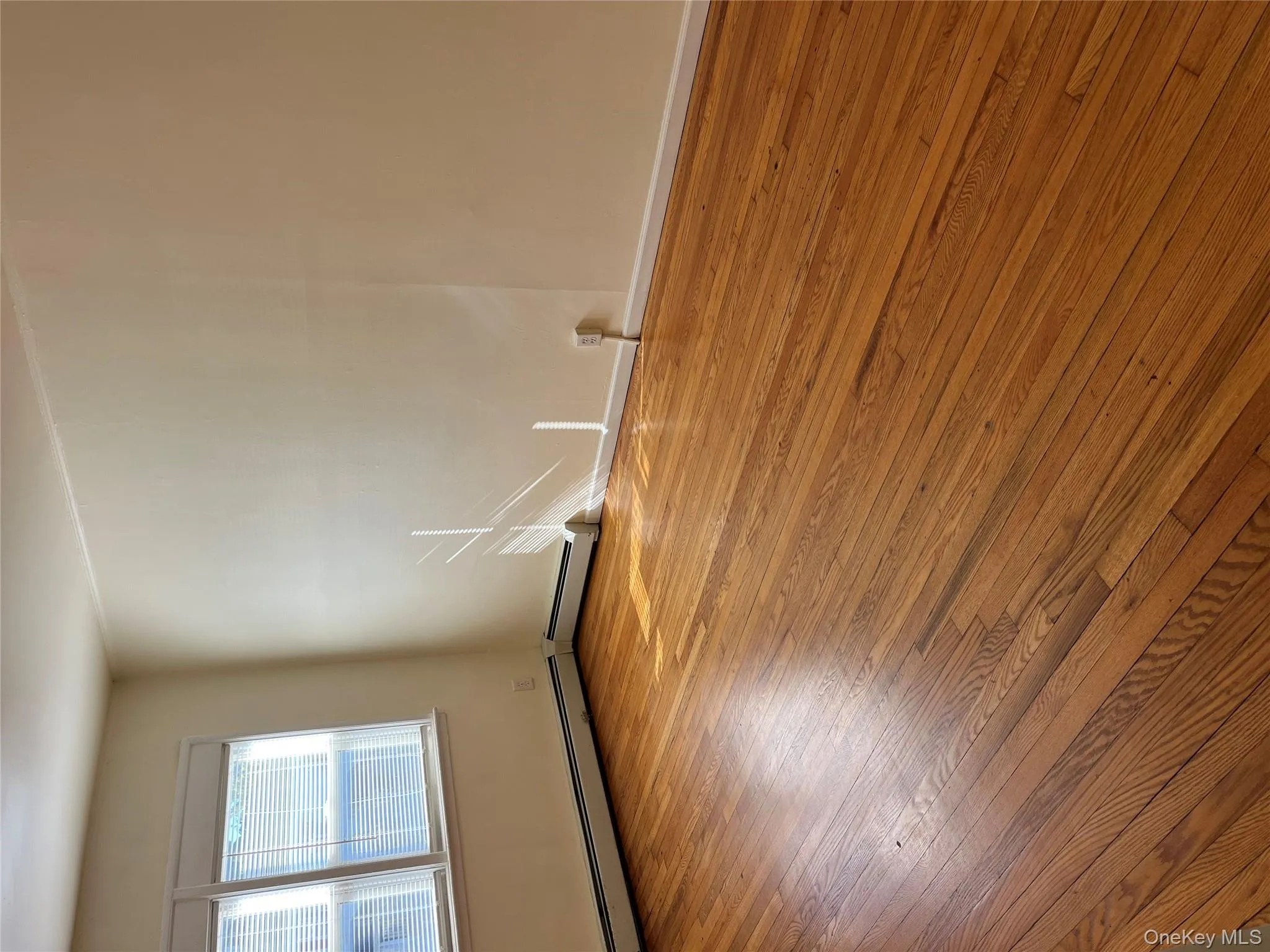 Empty room featuring light wood-style flooring and baseboards Empty room featuring light wood-style flooring and baseboards