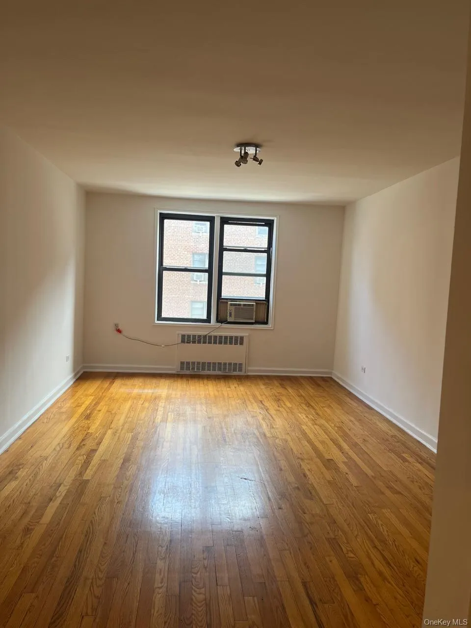 Unfurnished room featuring light wood-type flooring and radiator heating unit Unfurnished room featuring light wood-type flooring and radiator heating unit