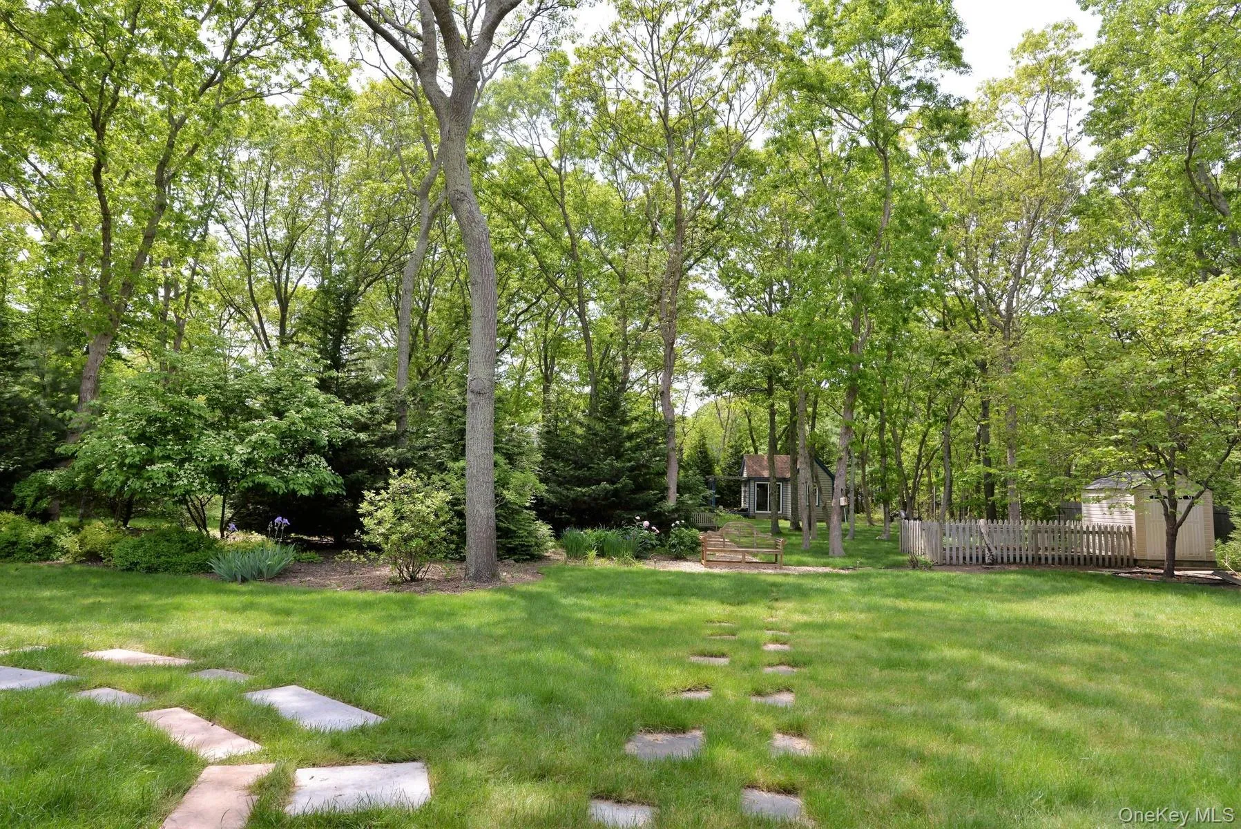 View of yard featuring view of scattered trees and a storage shed