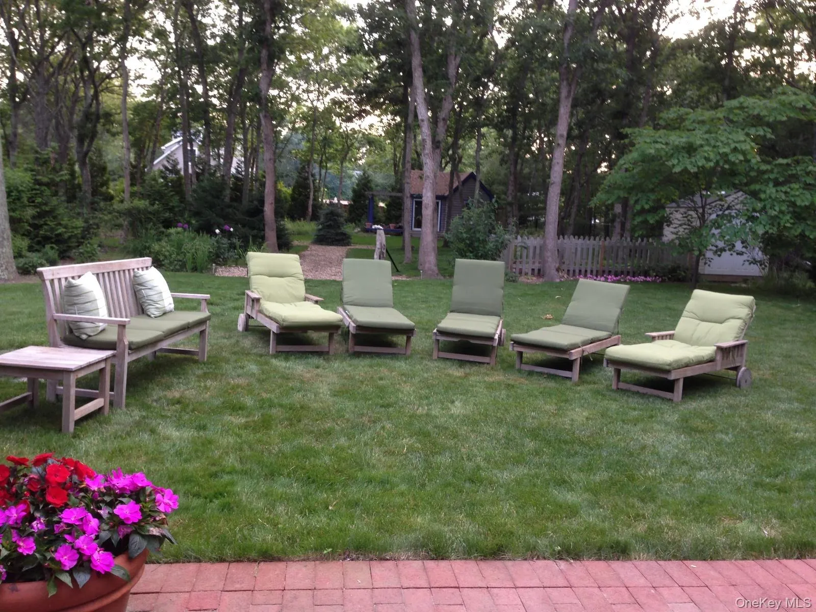 View of yard with a patio area and view of scattered trees