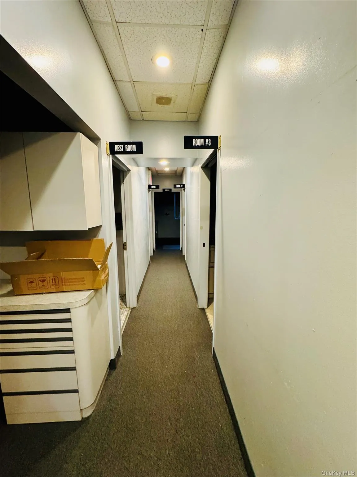 Hall with a drop ceiling and dark colored carpet Hall with a drop ceiling and dark colored carpet