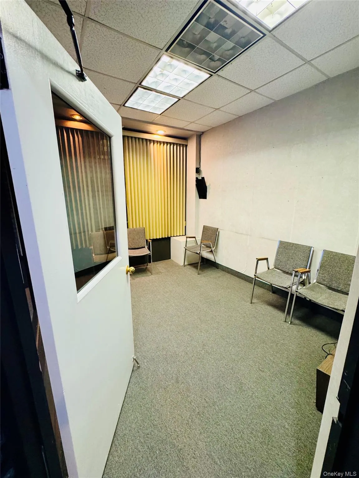 Unfurnished room featuring carpet flooring and a drop ceiling Unfurnished room featuring carpet flooring and a drop ceiling