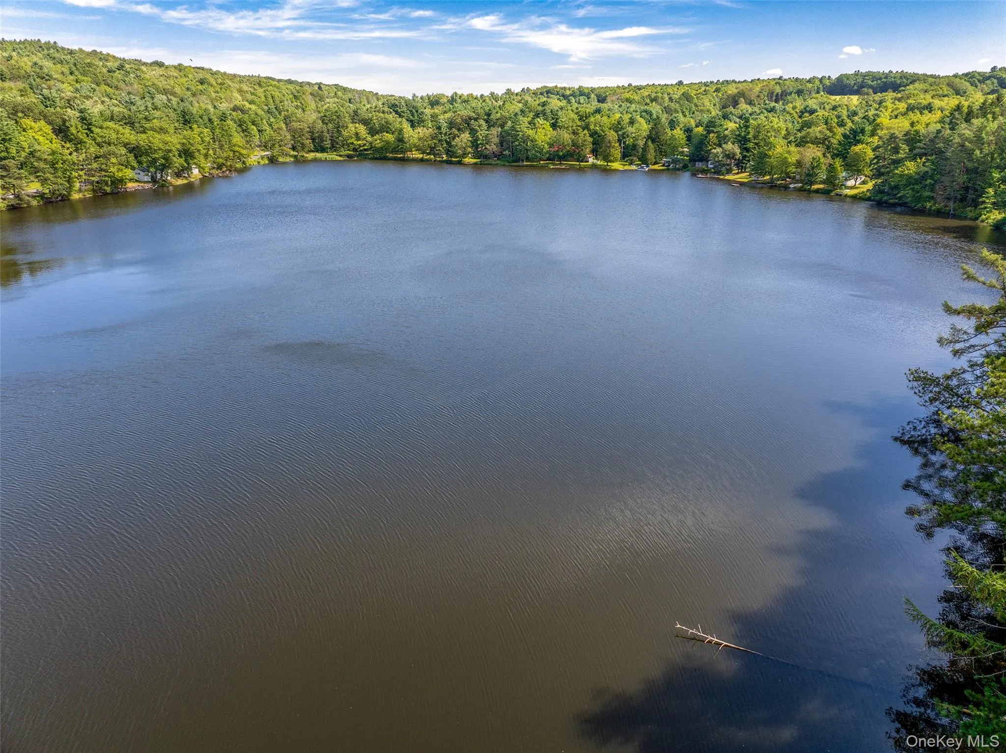 Water view featuring a heavily wooded area Water view featuring a heavily wooded area