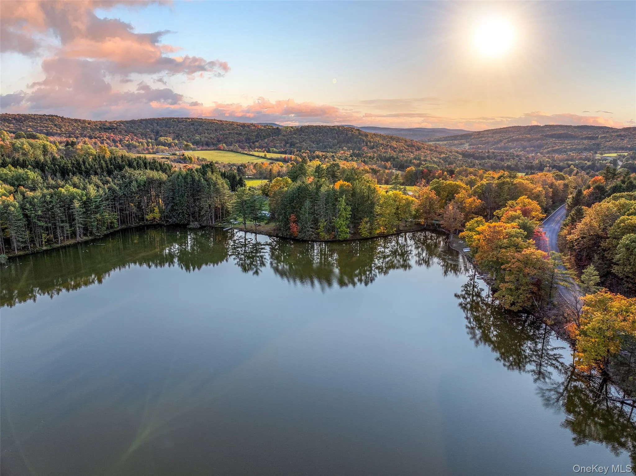 Bird's eye view of a forest and a large body of water Bird's eye view of a forest and a large body of water