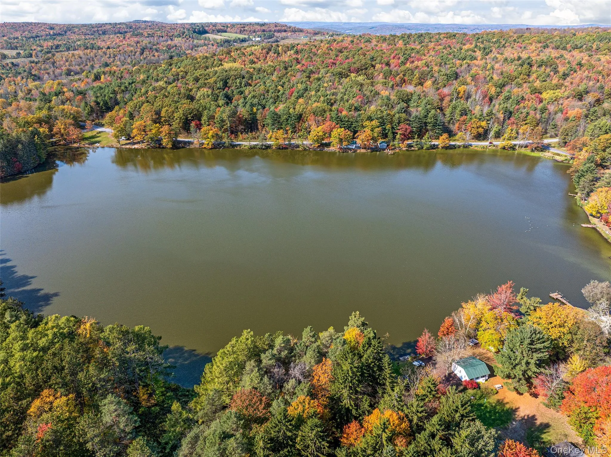 Bird's eye view of a forest and a nearby body of water Bird's eye view of a forest and a nearby body of water