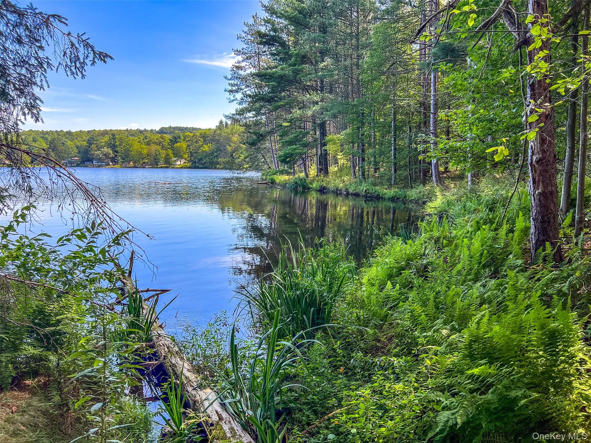 Water view featuring a forest Water view featuring a forest