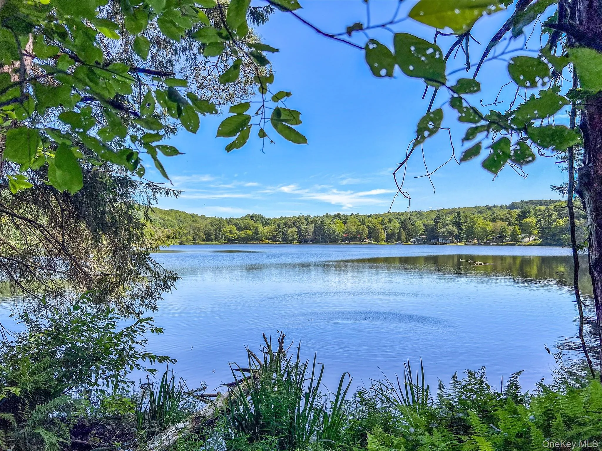 Water view featuring a heavily wooded area Water view featuring a heavily wooded area