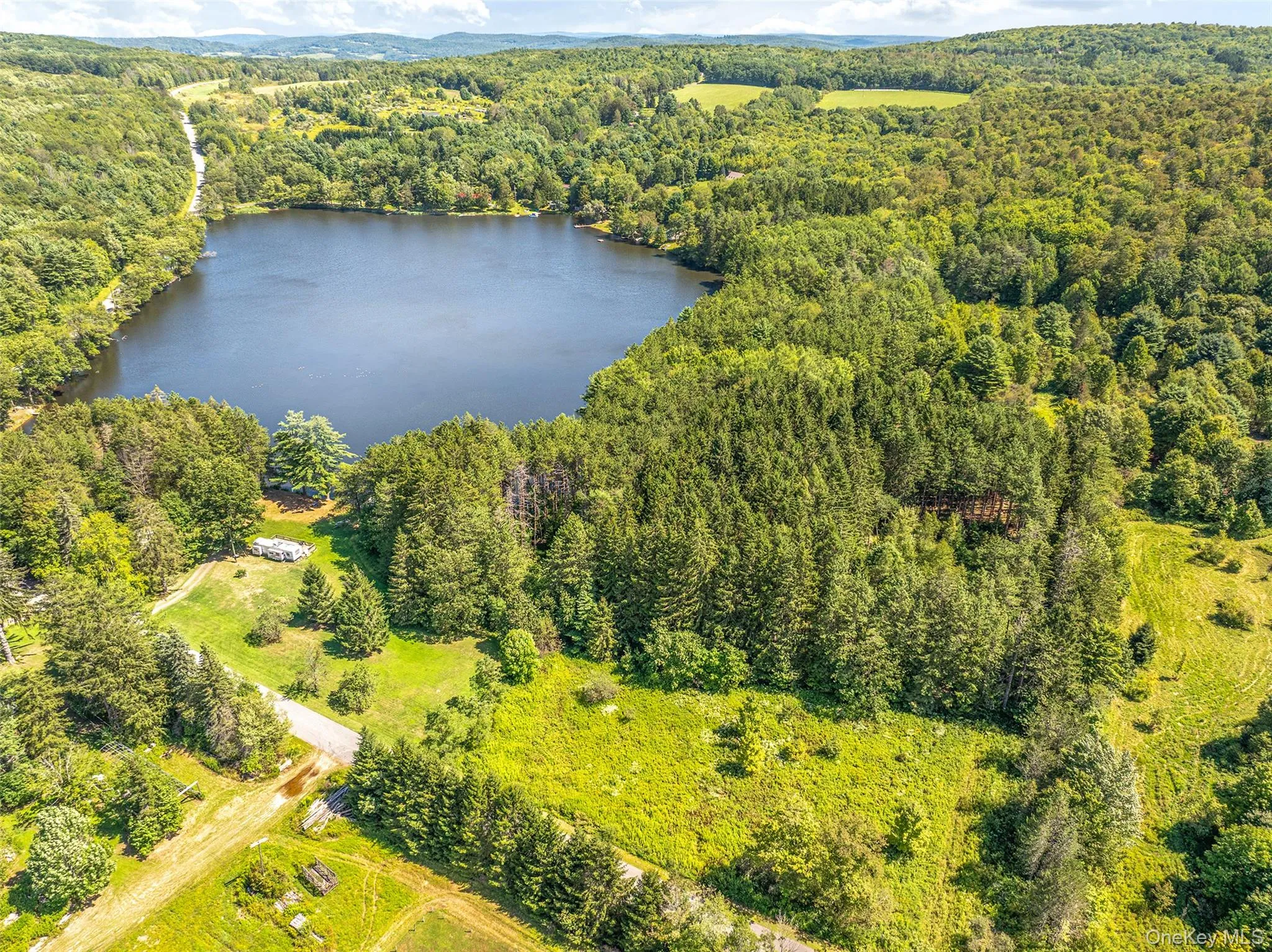Aerial overview of property's location with a large body of water and a forest Aerial overview of property's location with a large body of water and a forest