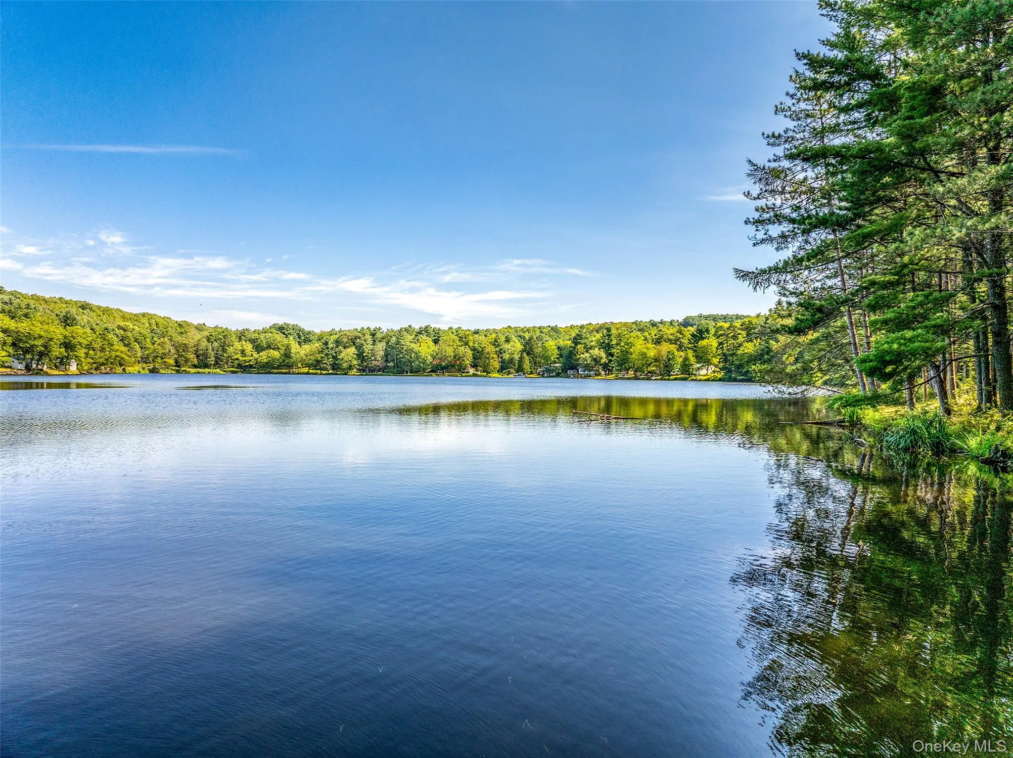 Water view featuring a heavily wooded area Water view featuring a heavily wooded area