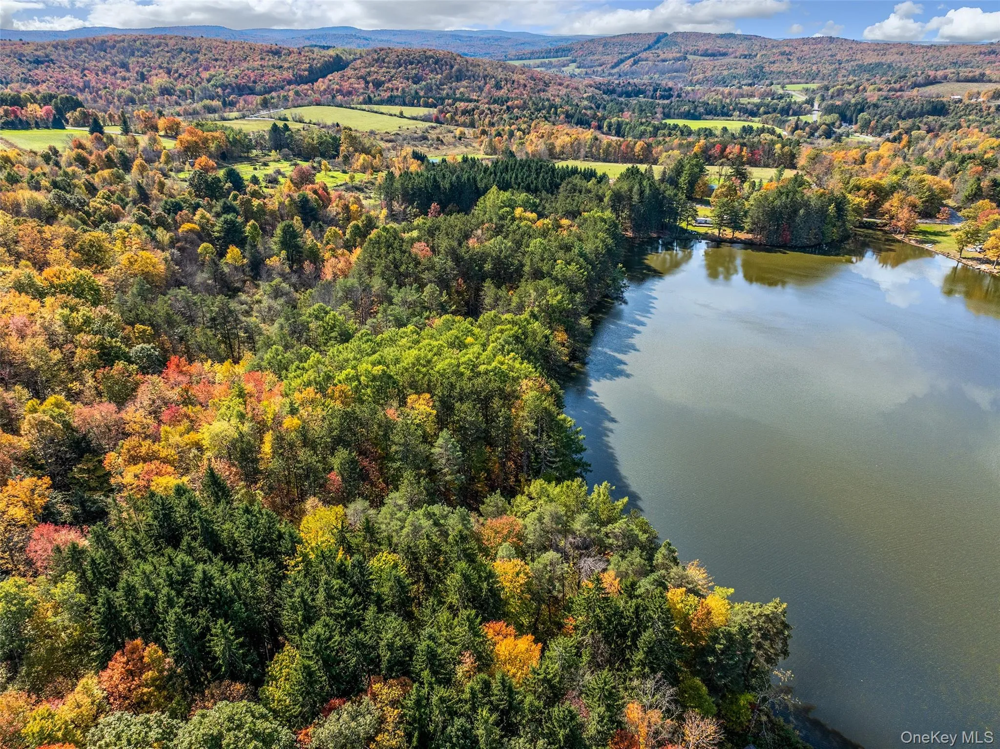 Aerial view of a forest and a nearby body of water Aerial view of a forest and a nearby body of water