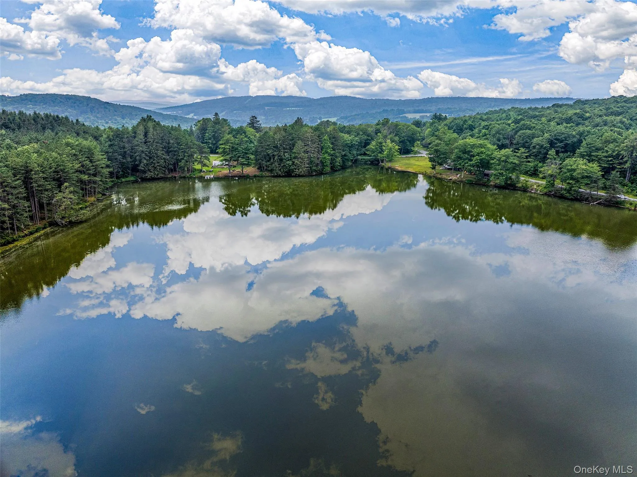 Water view with a heavily wooded area Water view with a heavily wooded area