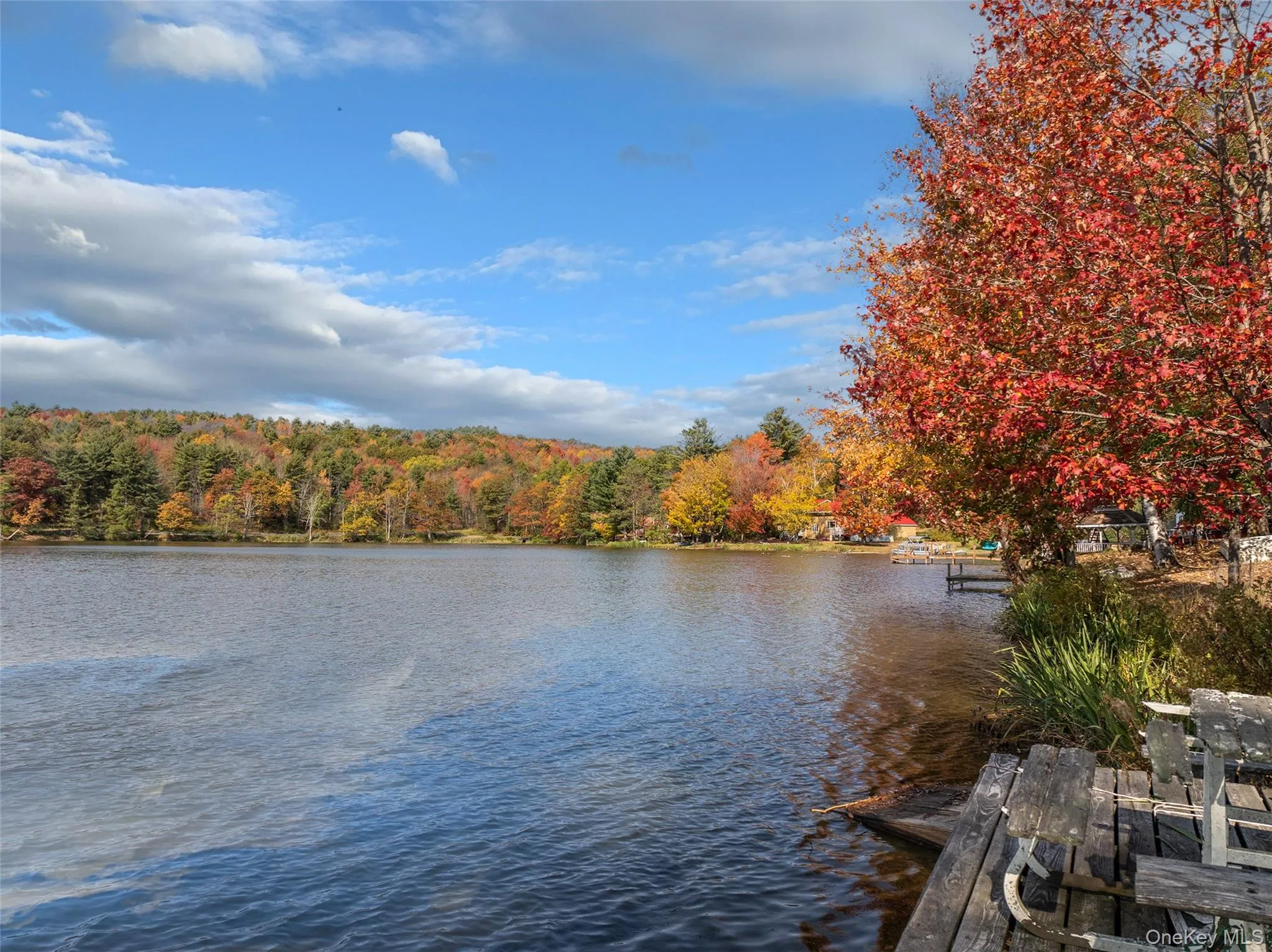 Water view with a heavily wooded area and a dock Water view with a heavily wooded area and a dock