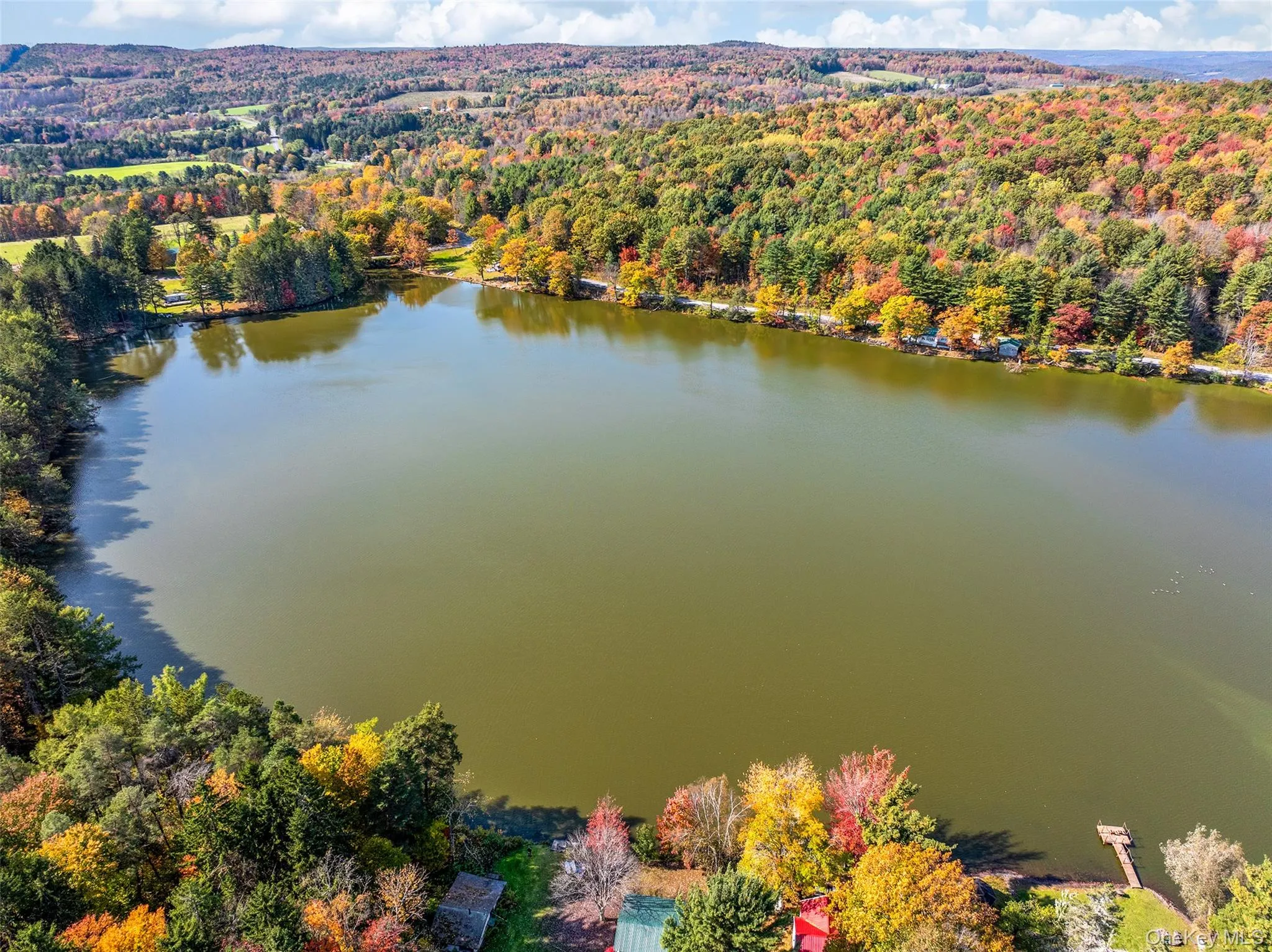 Drone / aerial view of a nearby body of water and a forest Drone / aerial view of a nearby body of water and a forest