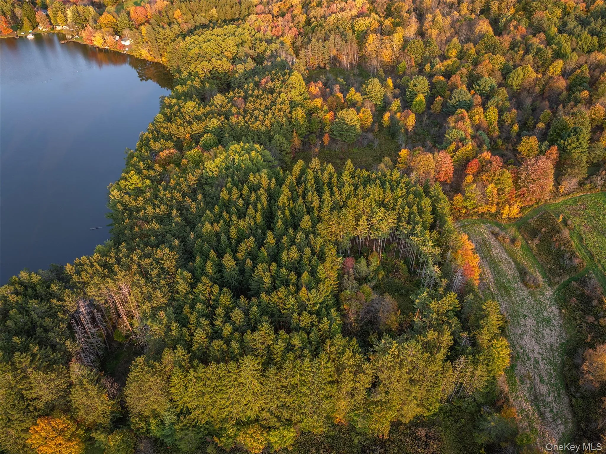 View of property location with a nearby body of water and a forest View of property location with a nearby body of water and a forest