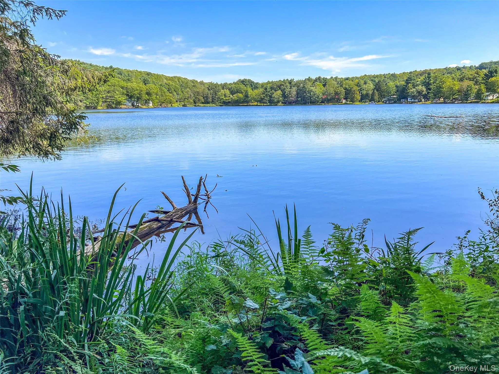 Water view featuring a forest Water view featuring a forest