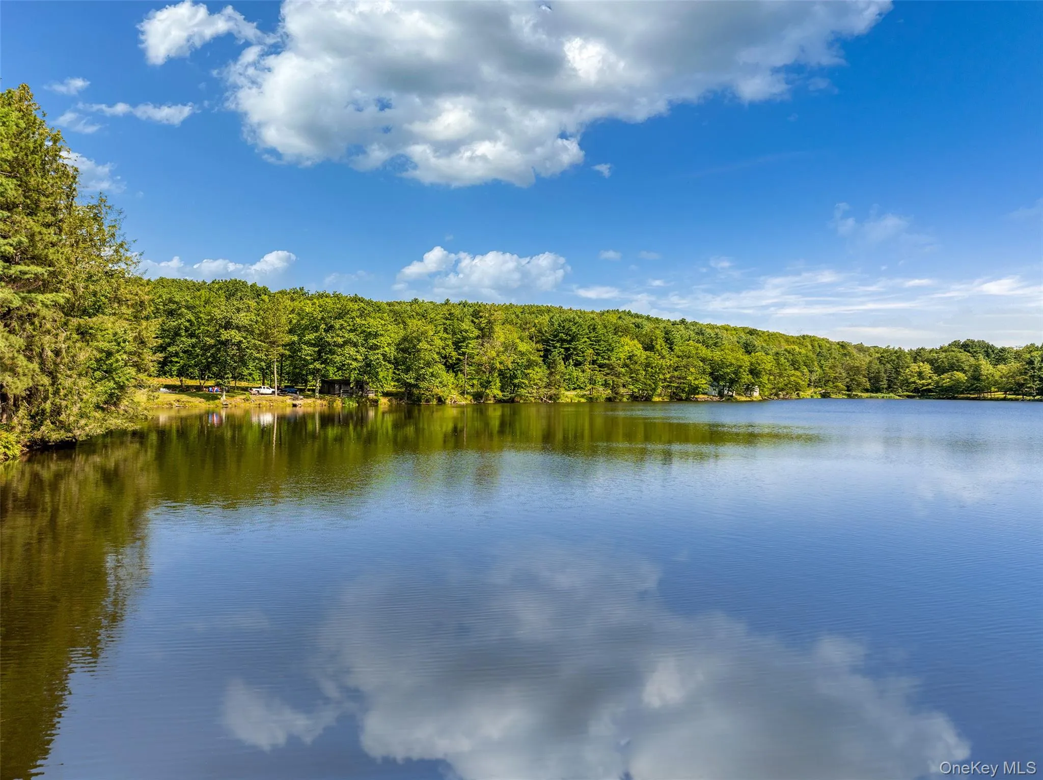 Water view with a forest Water view with a forest
