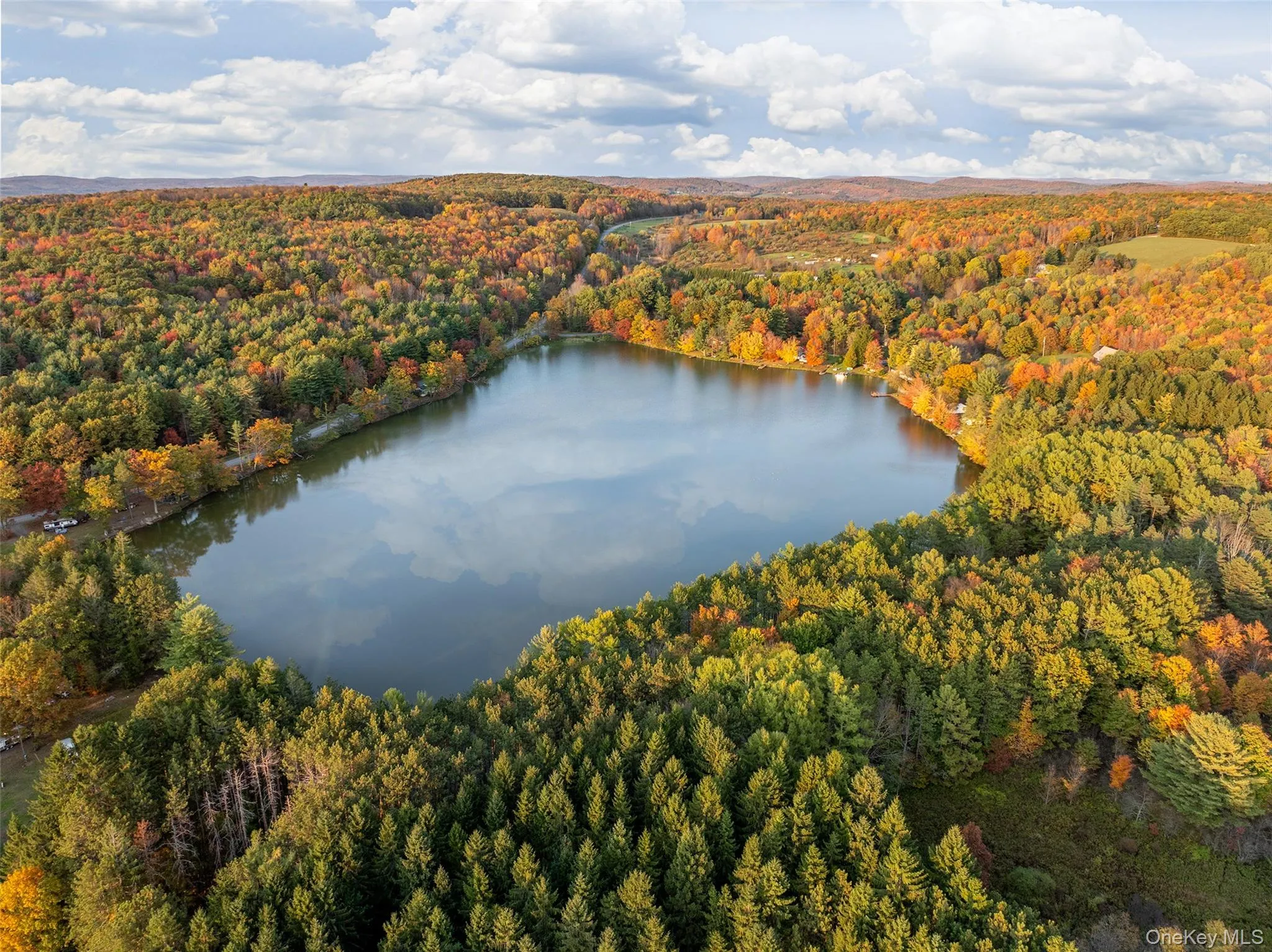 Bird's eye view of a heavily wooded area and a nearby body of water Bird's eye view of a heavily wooded area and a nearby body of water