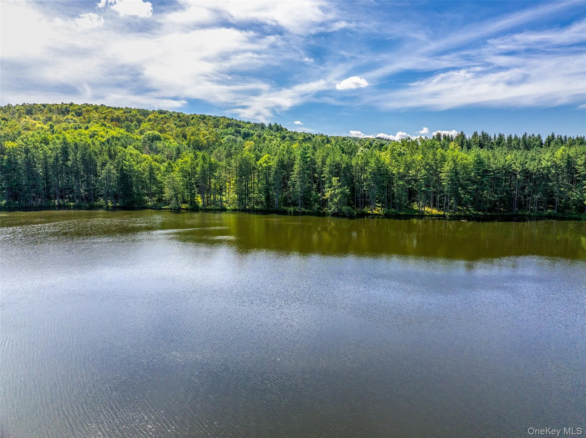 Water view featuring a heavily wooded area Water view featuring a heavily wooded area