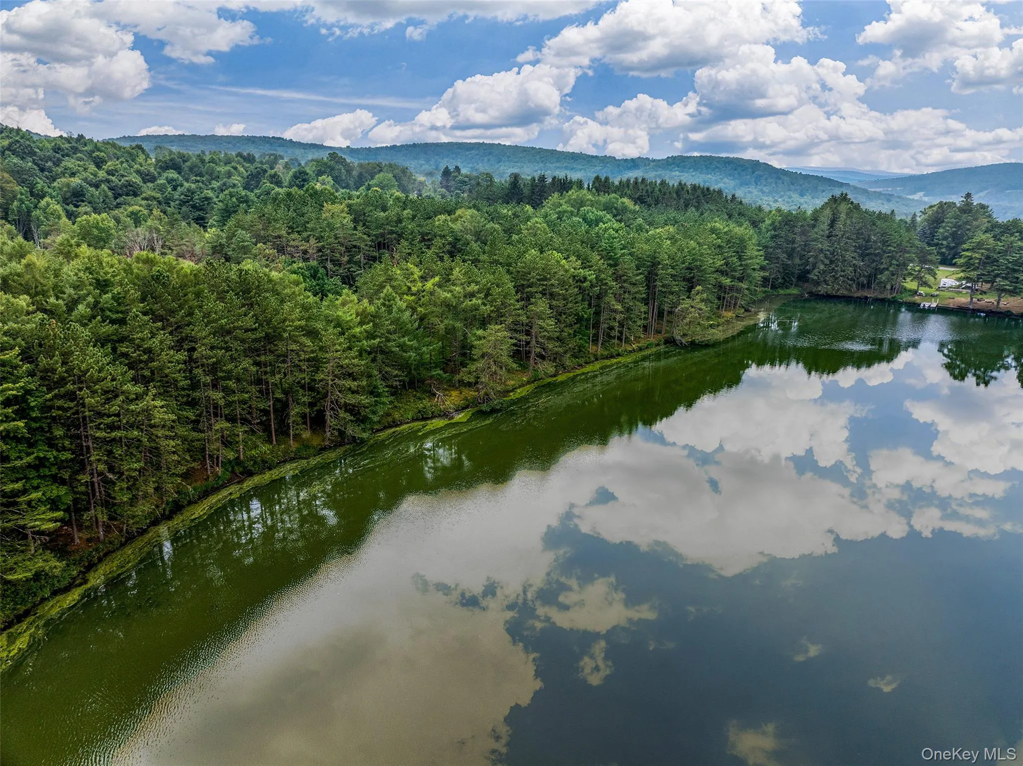Bird's eye view of a large body of water and a heavily wooded area Bird's eye view of a large body of water and a heavily wooded area
