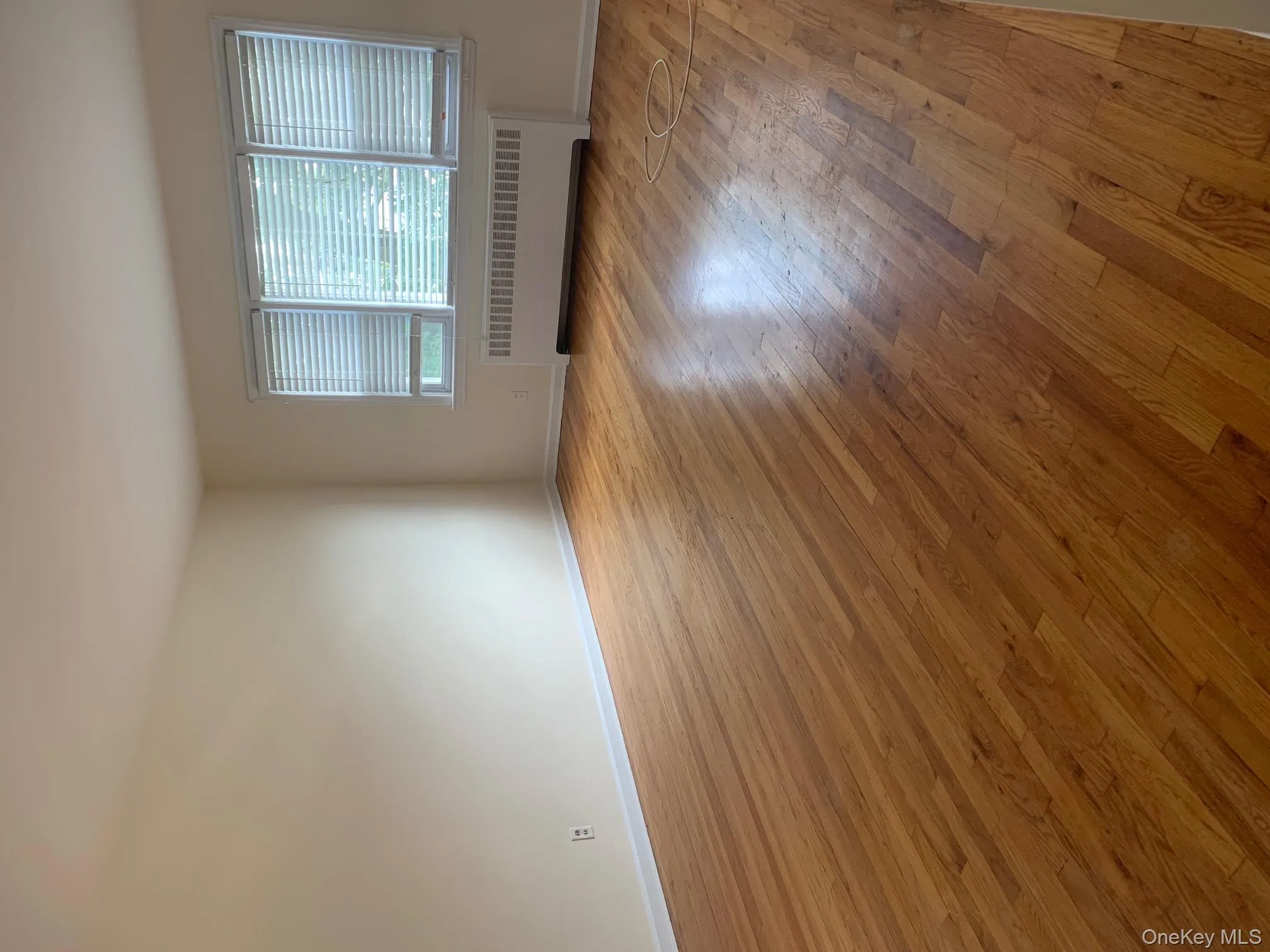 Living roomfeaturing light wood-style floors Living roomfeaturing light wood-style floors