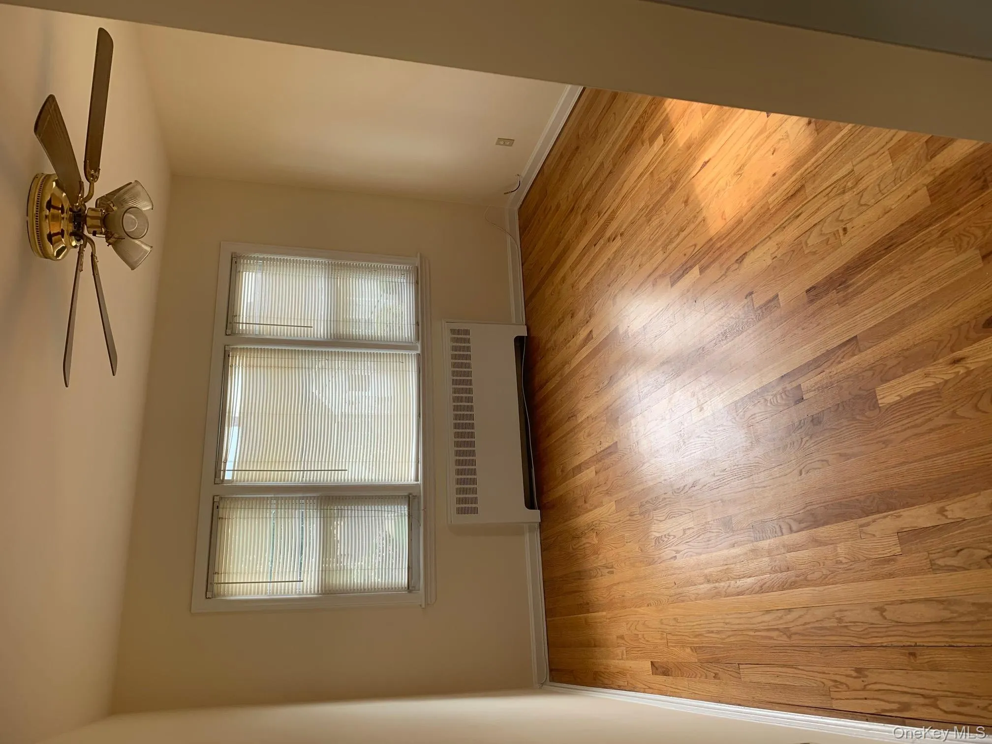 Unfurnished room featuring healthy amount of natural light, radiator, light wood-type flooring, and a ceiling fan Unfurnished room featuring healthy amount of natural light, radiator, light wood-type flooring, and a ceiling fan