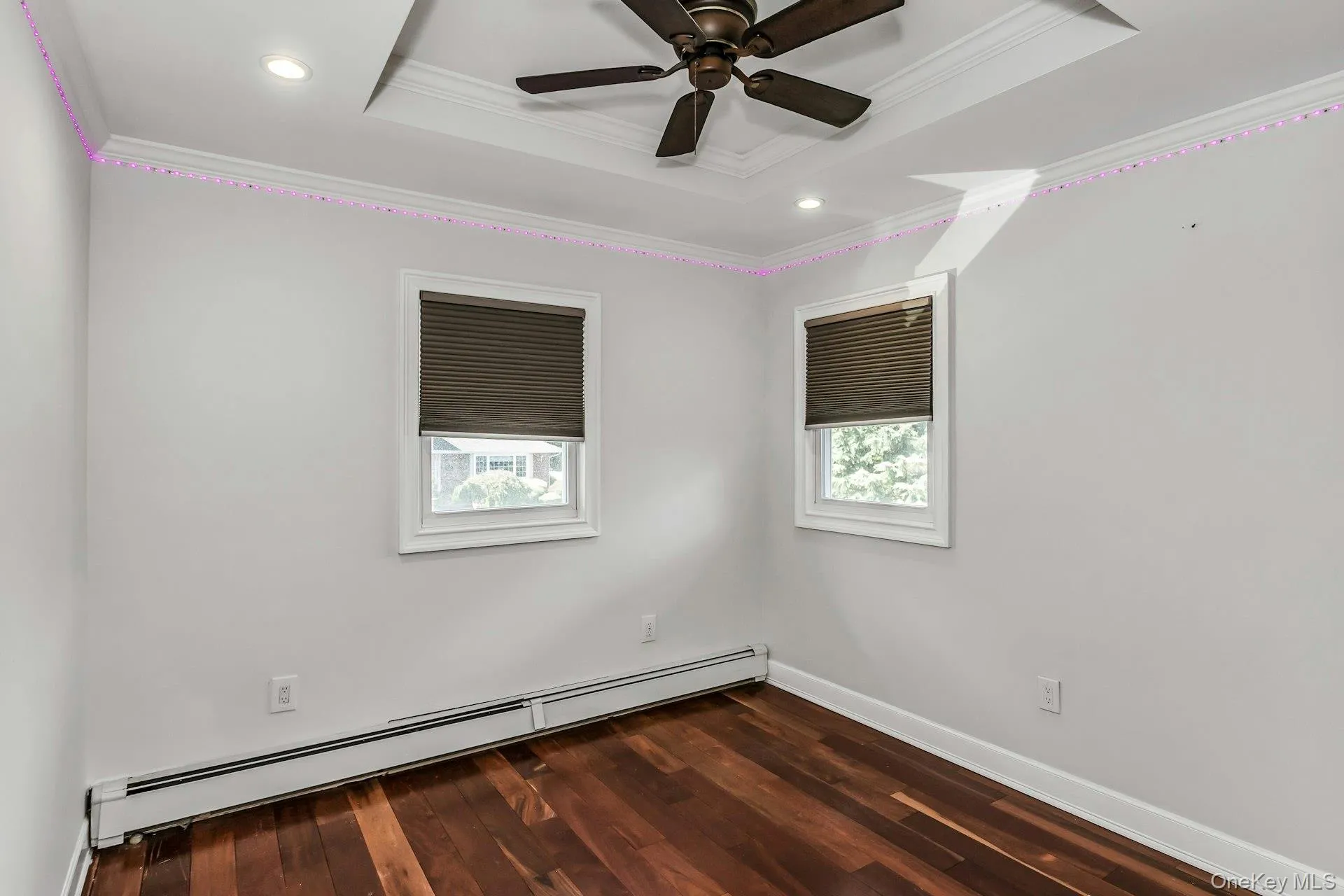 Empty room featuring baseboard heating, plenty of natural light, a tray ceiling, dark wood finished floors, and crown molding Empty room featuring baseboard heating, plenty of natural light, a tray ceiling, dark wood finished floors, and crown molding