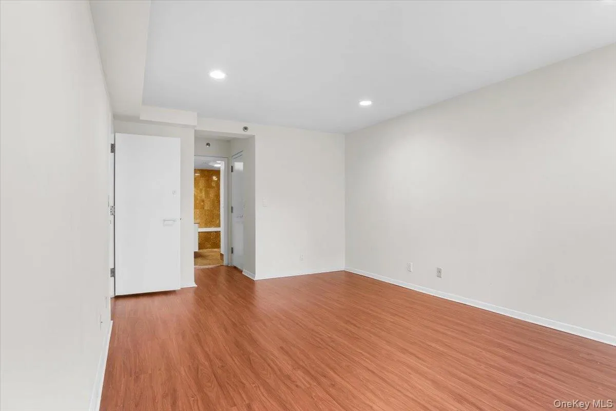 Spare room with light wood-style floors and recessed lighting Spare room with light wood-style floors and recessed lighting