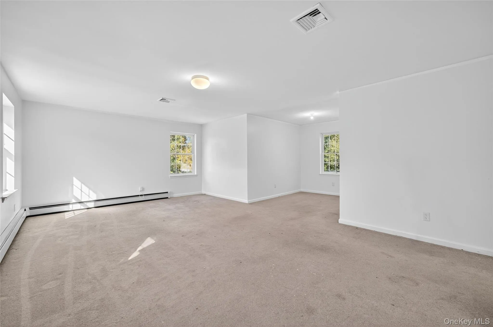 Spare room with healthy amount of natural light, light colored carpet, and baseboard heating Spare room with healthy amount of natural light, light colored carpet, and baseboard heating