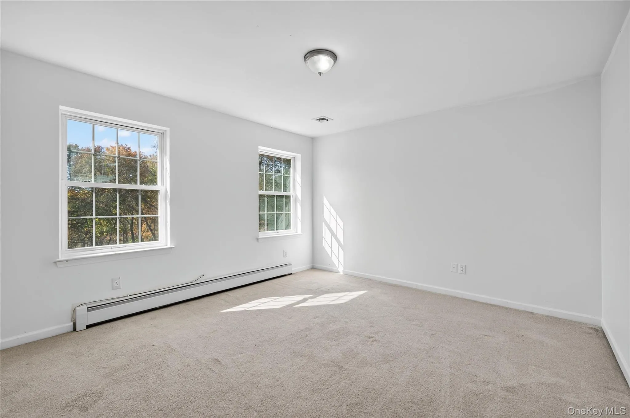 Spare room featuring baseboard heating, healthy amount of natural light, and light carpet Spare room featuring baseboard heating, healthy amount of natural light, and light carpet