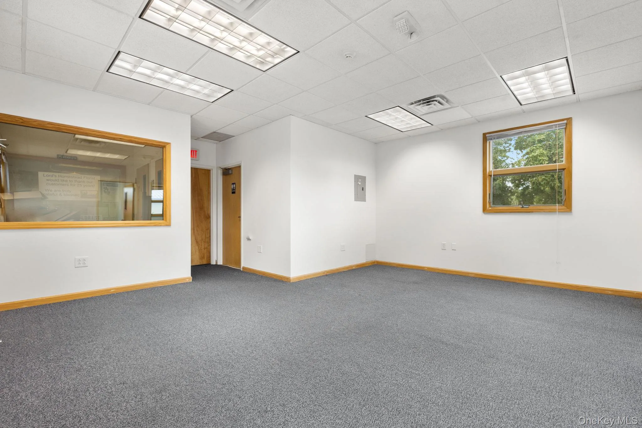 Carpeted empty room featuring a drop ceiling and electric panel Carpeted empty room featuring a drop ceiling and electric panel