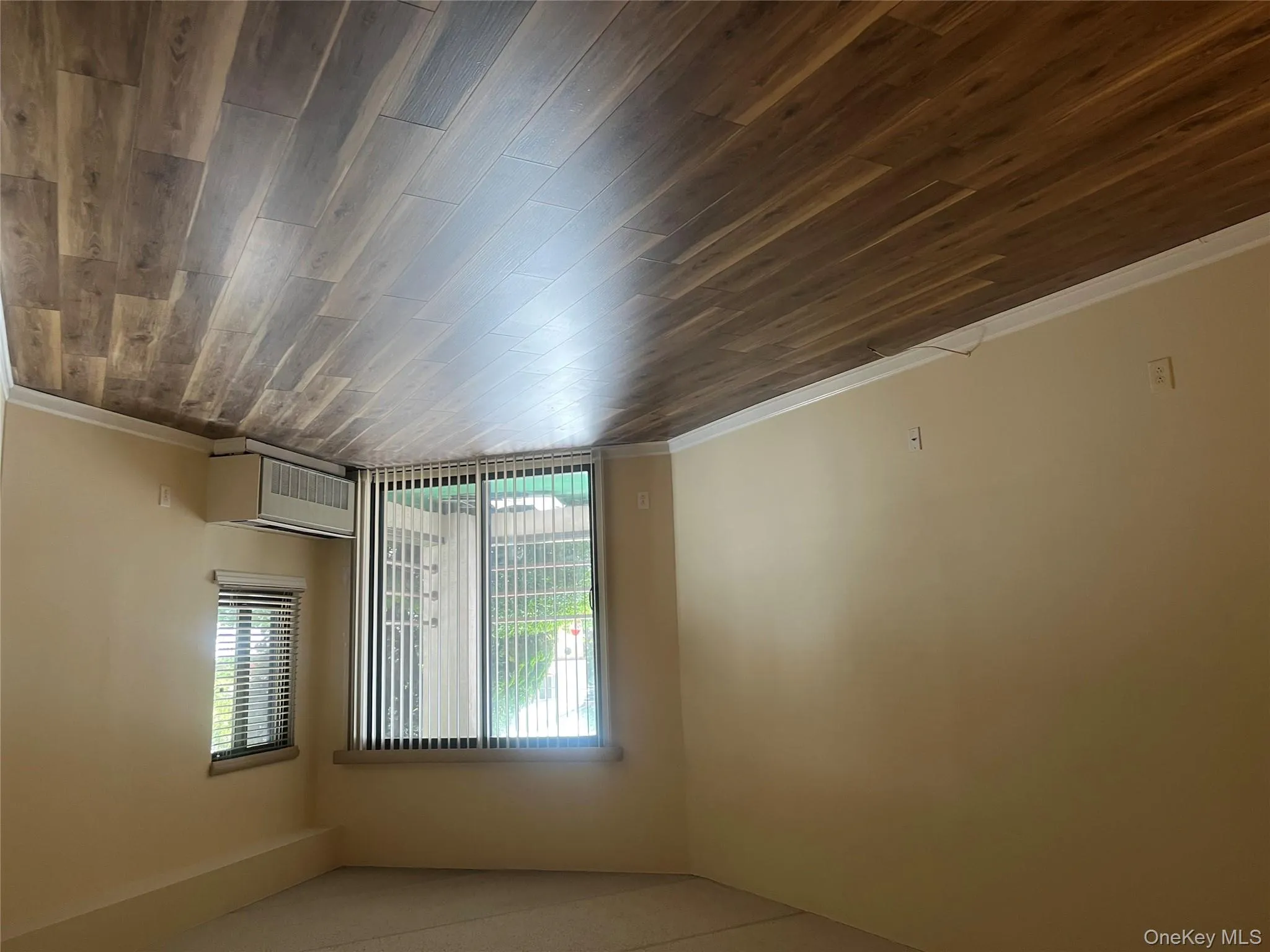 Unfurnished room featuring dark wood-style flooring and radiator Unfurnished room featuring dark wood-style flooring and radiator