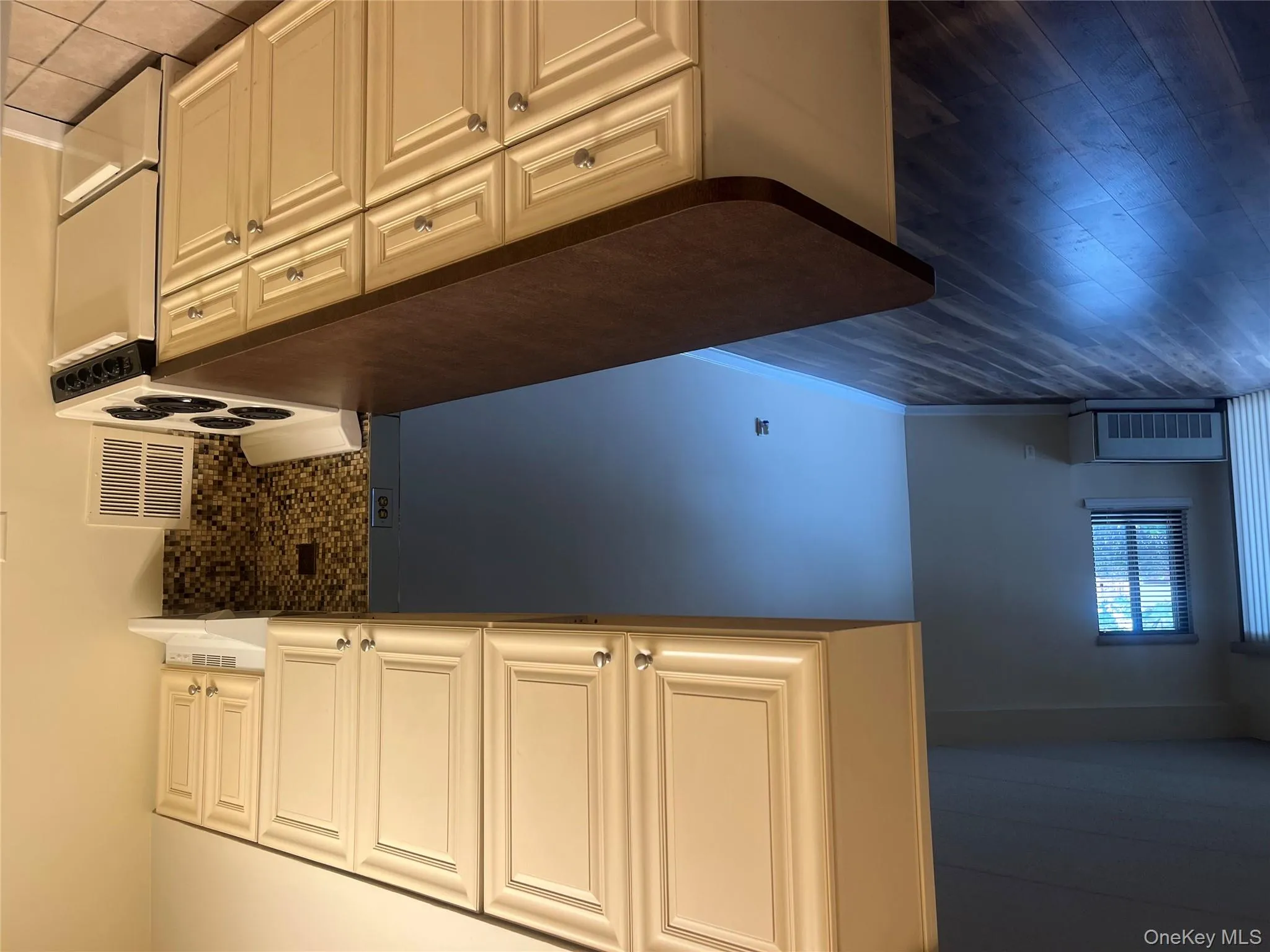 Kitchen featuring stove, backsplash, radiator, exhaust hood, and dark countertops Kitchen featuring stove, backsplash, radiator, exhaust hood, and dark countertops