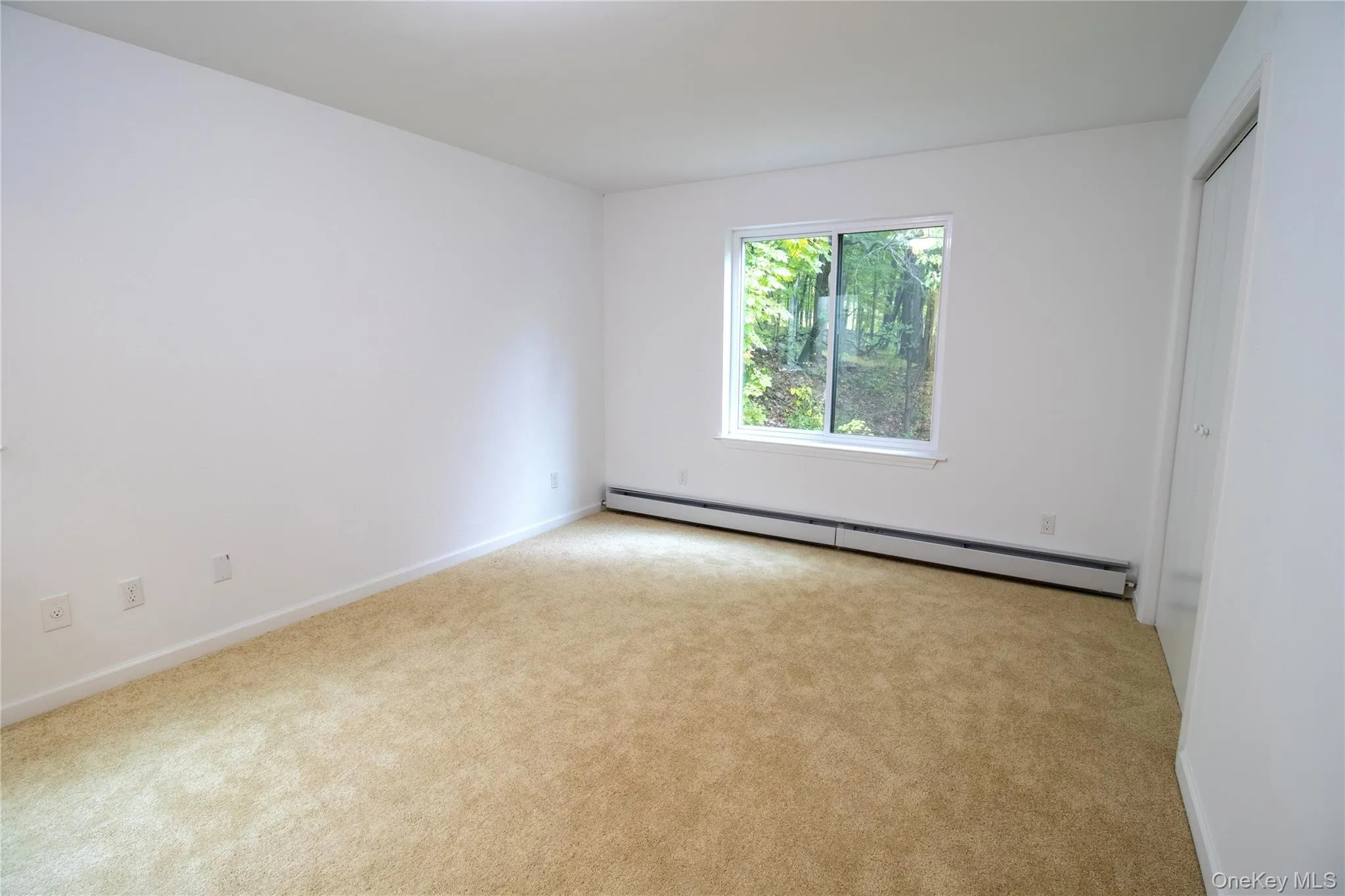 Unfurnished room with a baseboard radiator and light carpet Unfurnished room with a baseboard radiator and light carpet