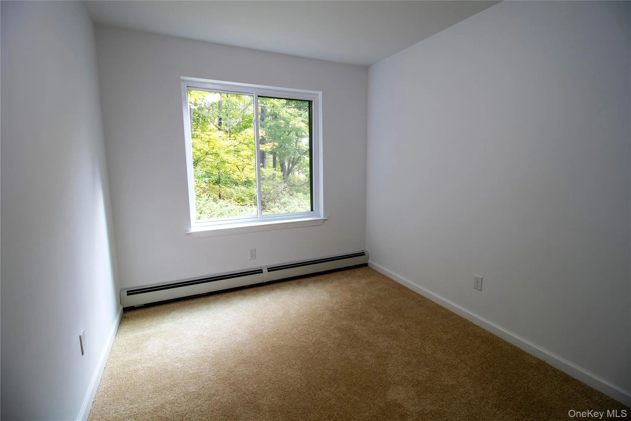 Carpeted spare room with baseboard heating and baseboards Carpeted spare room with baseboard heating and baseboards