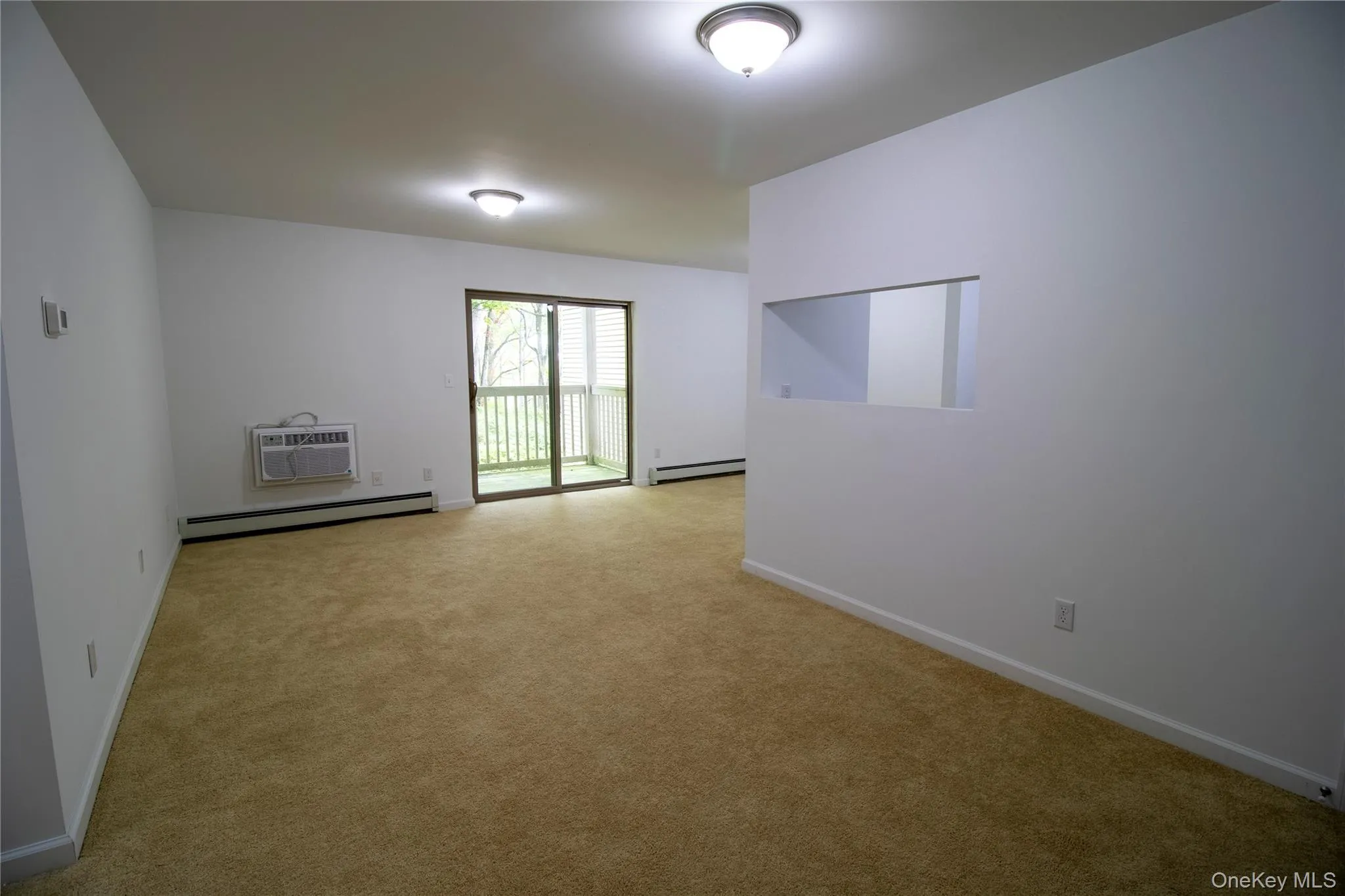 Spare room with light carpet, a baseboard radiator, and an AC wall unit Spare room with light carpet, a baseboard radiator, and an AC wall unit