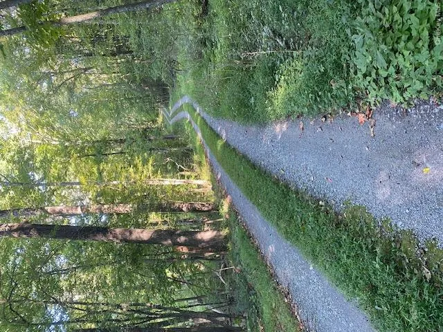 View of dirt / gravel road with a view of trees View of dirt / gravel road with a view of trees