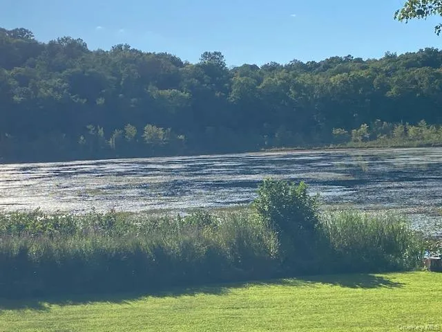 Water view with a heavily wooded area Water view with a heavily wooded area