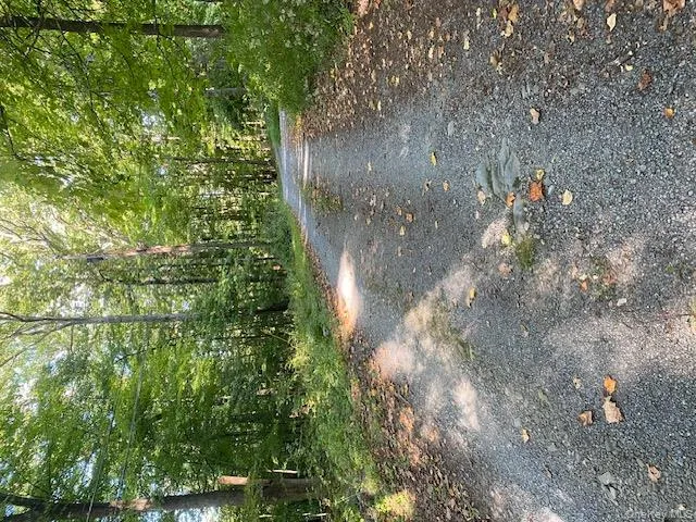 View of road featuring a forest view View of road featuring a forest view