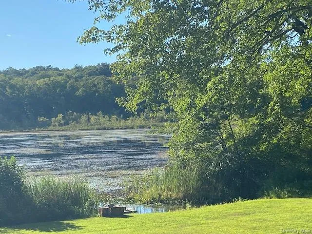 Water view featuring a forest Water view featuring a forest