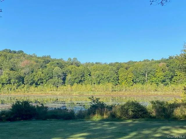 View of yard with a wooded view and a water view View of yard with a wooded view and a water view