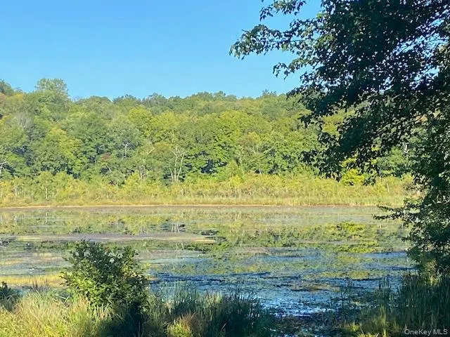 View of woods featuring a water view View of woods featuring a water view