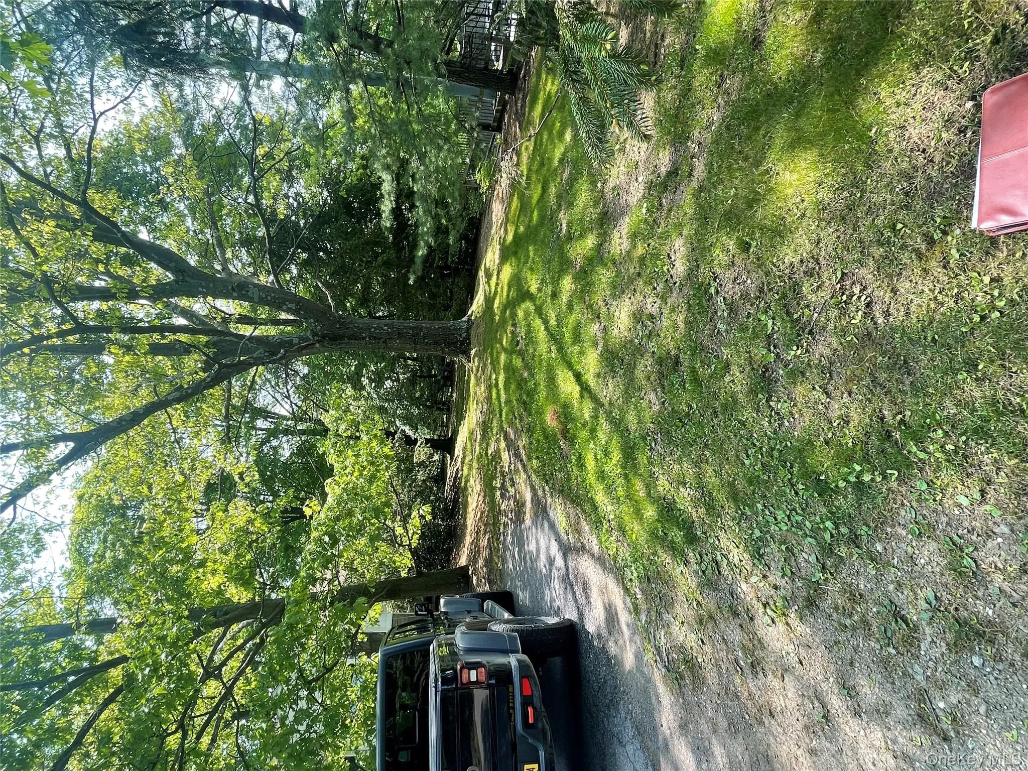 View of grassy yard featuring view of scattered trees View of grassy yard featuring view of scattered trees