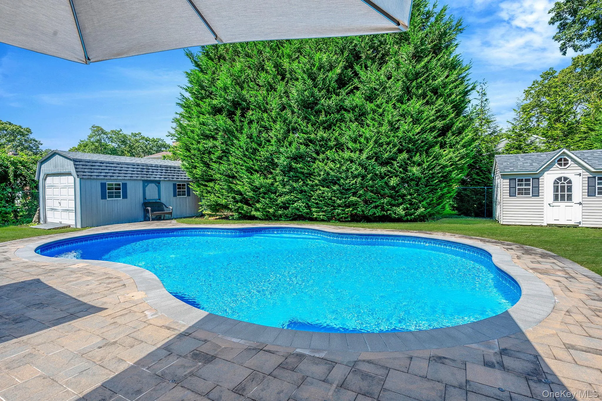 Swimming pool featuring a storage shed, a yard, and a patio Swimming pool featuring a storage shed, a yard, and a patio