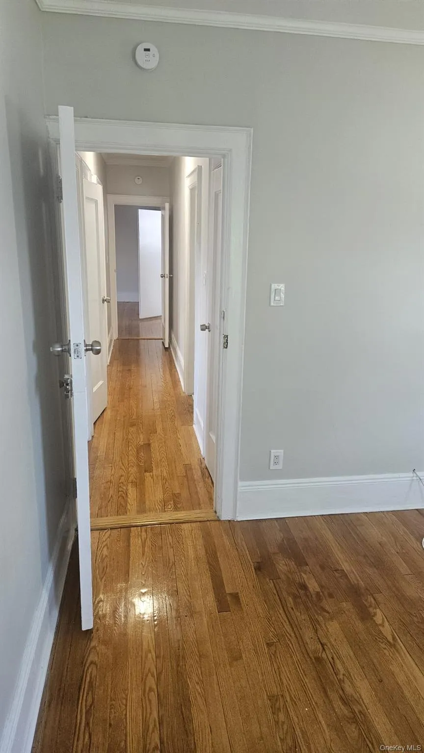 Hall with light wood-style flooring and ornamental molding Hall with light wood-style flooring and ornamental molding