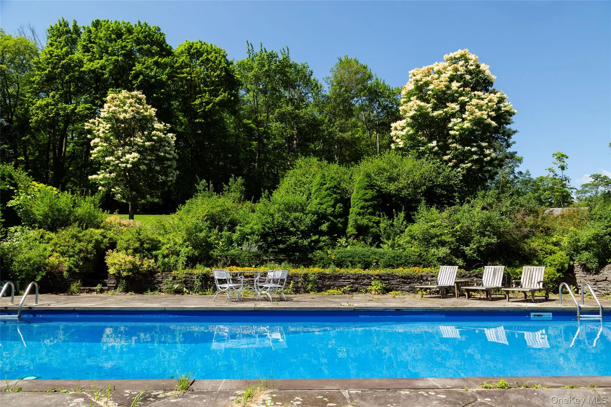 Outdoor pool featuring a patio and view of wooded area Outdoor pool featuring a patio and view of wooded area