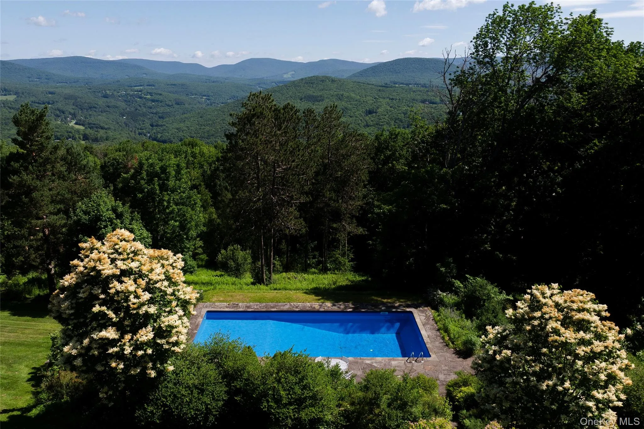 Outdoor pool featuring a mountain view and a wooded view Outdoor pool featuring a mountain view and a wooded view