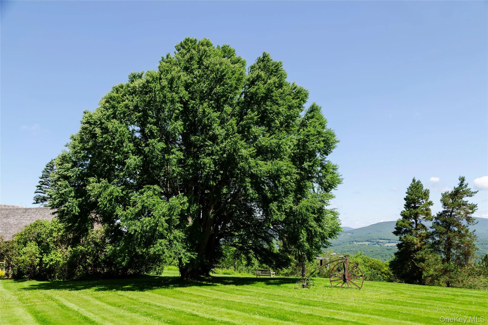 Surrounding community featuring a yard Surrounding community featuring a yard