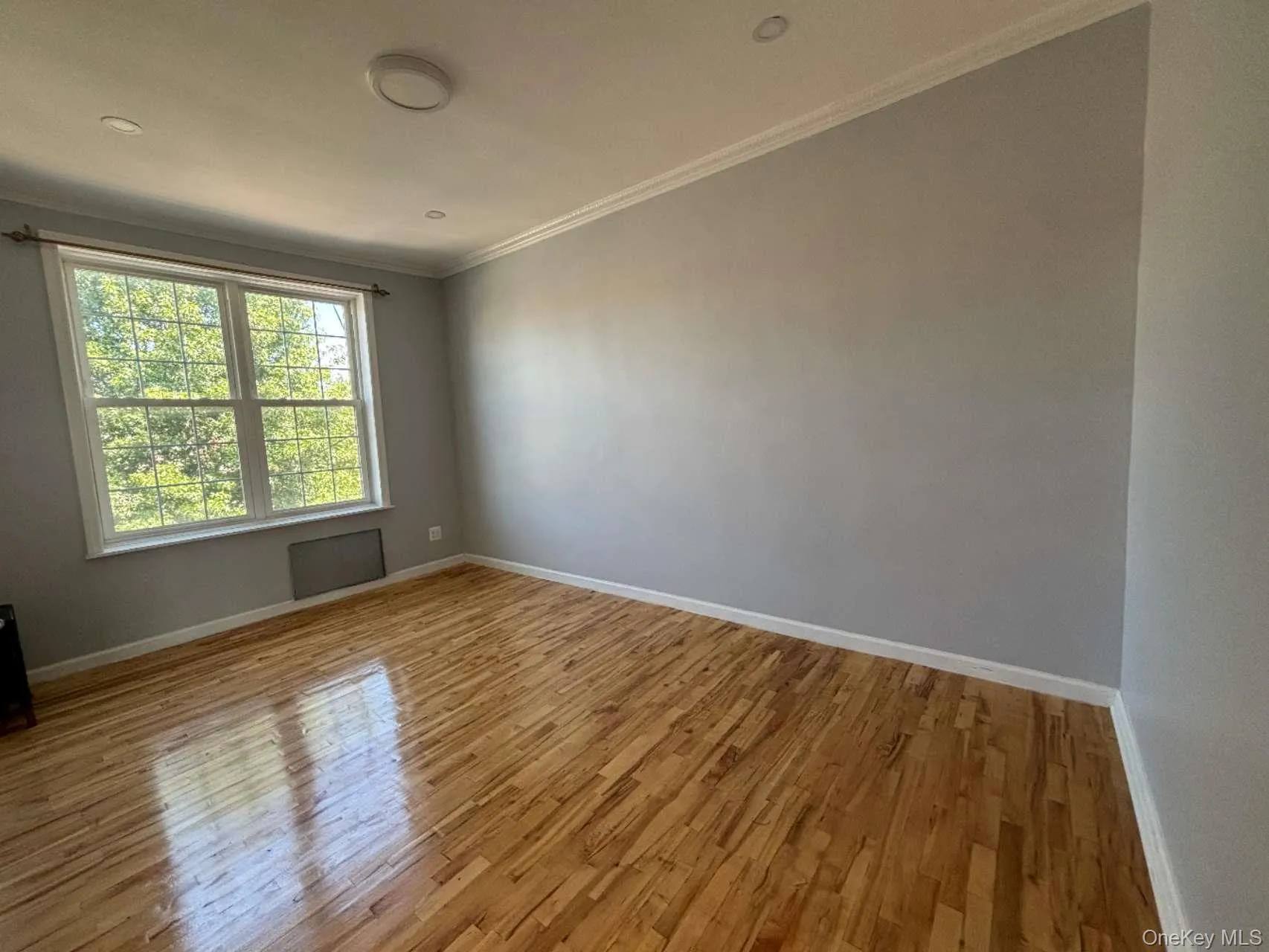 Spare room with crown molding and light wood-type flooring Spare room with crown molding and light wood-type flooring