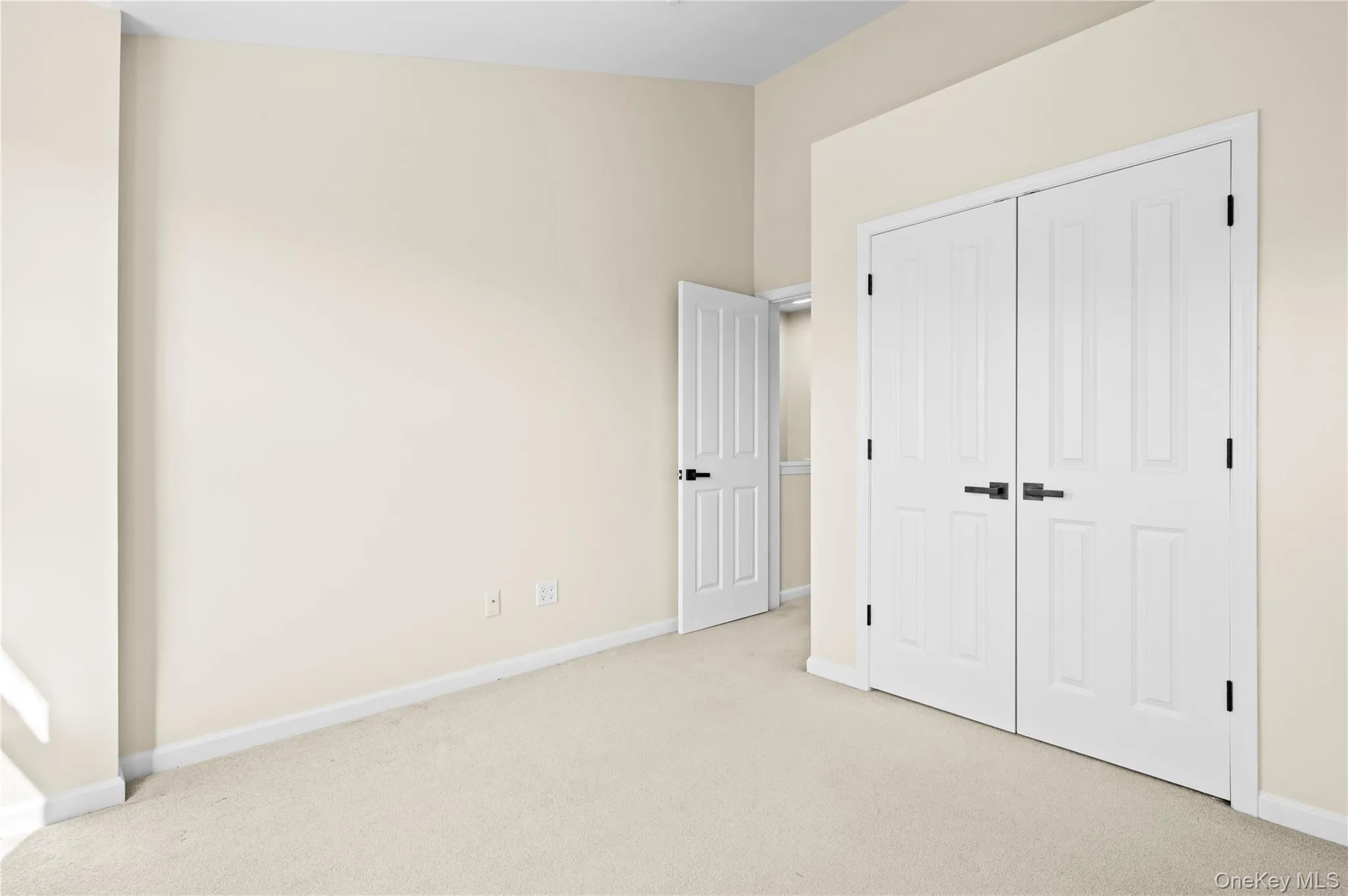 second bedroom with light carpet and a closet second bedroom with light carpet and a closet