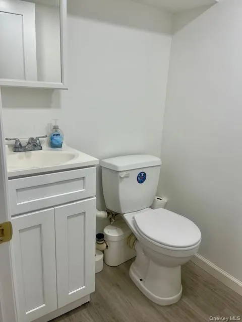 Half bath with light wood-style floors and vanity Half bath with light wood-style floors and vanity